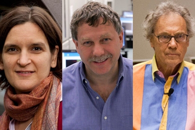 Esther Duflo, Eric Lander and Walter Lewin