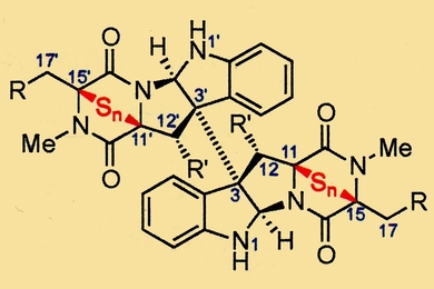 MIT chemists designed many variants of epipolythiodiketopiperazine (ETP) alkaloids and tested them for anticancer activity. A representative ETP structure is shown.