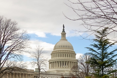 The MIT CVD 2013 student delegation at the Capitol
