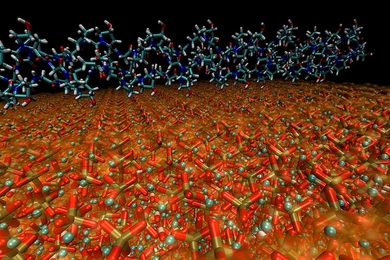 This diagram shows a molecular view of the structure of bone. The image shows the interface between a collagen protein molecule (top) and a hydroxyapatite mineral crystal (bottom). In bone, a complex combination of collagen and mineral forms into a nano composite that creates a very tough, strong and reliable material.  