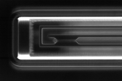By measuring the speed at which a cell enters a narrow constriction, MIT engineers can determine how deformable the cell is.

