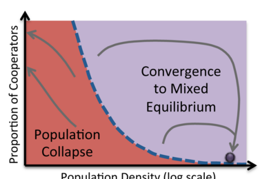 Yeast study chart shows spiraling effect of mixed strains of cooperators and cheaters moving either toward extinction or equilibrium.