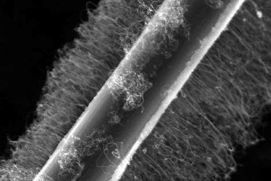 MIT researchers have produced carbon fibers coated in carbon nanotubes without degrading the underlying fiber's strength. The engineered fibers may be woven into composites to make stronger, lighter airplane parts.