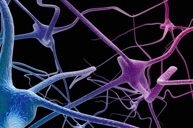 An artist's impression depicting a network of neurons of the nervous system.