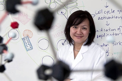 Li-Huei Tsai, director of the Picower Institute for Learning and Memory