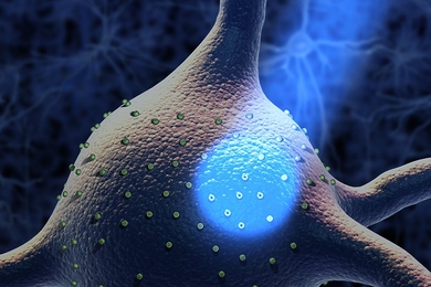 MIT neuroscientists used light to control the activity of neurons involved in compulsive behavior.