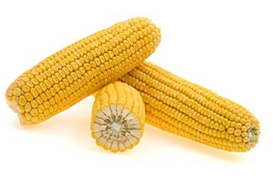 Three corn cobs