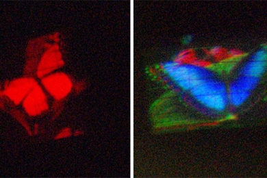 A hologram of a butterfly, displayed on both a conventional, monochromatic holographic-video monitor (left) and the MIT researchers' new color monitor.

