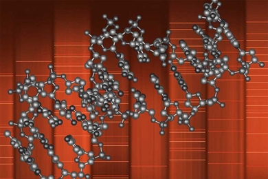 Strands of DNA are grouped together