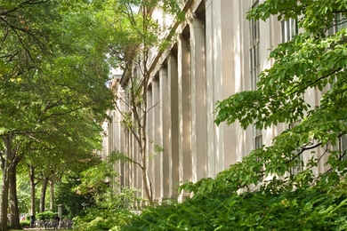 MIT campus