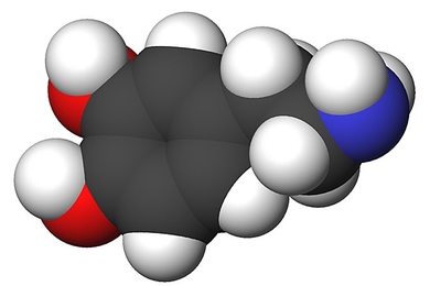Illustration of the chemical structure of a molecule of dopamine