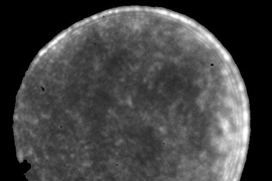 A micrograph of the nanosensor array. The florescence of eachcarbon nanotube changes in intensity upon binding to a target molecule.