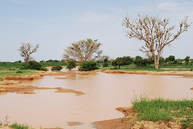 This large pool of water near Banizoumbou, Niger, formed during the monsoon season and became a breeding site for mosquitoes.  
