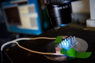 A new microfluidic technique developed by MIT researchers to quickly sort bacteria within the same strain could improve monitoring of cystic fibrosis and other diseases.