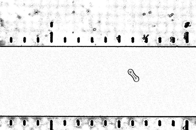A slightly asymmetrical particle flows along the center of a microfluidic channel.