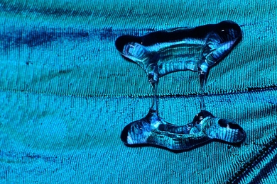 A ridge in the wing of a morpho butterfly, created by a vein within the wing, produces the same effect that MIT researchers found can make bouncing droplets form non-uniform shapes, which causes them to spend less time in contact with a surface.