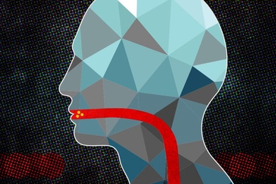 Illustration of a human head and neck with the esophagus highlighted