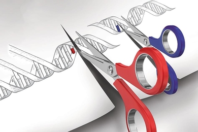 Two pairs of scissors cutting into paper sketch of DNA