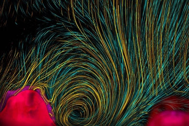 'Invisible Coral Flows' reveal the path of water as it flows around coral.