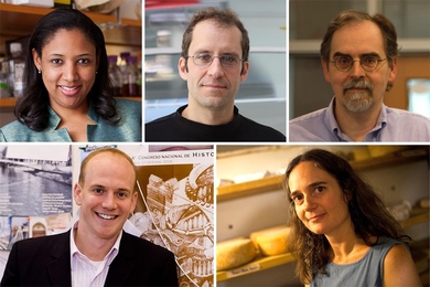 Clockwise, from top left: Kristala L. J. Prather (photo by M. Scott Brauer); Jacopo Buongiorno (photo by Despoina Chatzikyriakou); Tomás Lozano-Pérez (photo by Melanie Gonick); Heather Anne Paxson (photo by Dominick Reuter); and John Ochsendorf (photo courtesy MacArthur Foundation)