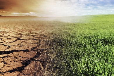 Split ground shows half of a cracked floor and grass