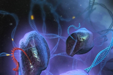 An artist's depiction of the CRISPR system in action. 