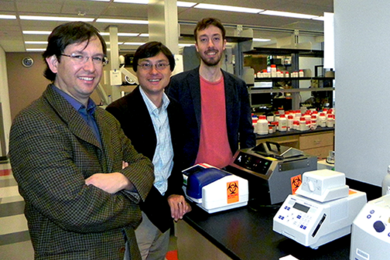 The Physics of Living Systems group at MIT includes, from left, Alfredo Alexander-Katz, materials science; Jeff Gore, experimental physics; and Jeremy England, theoretical physics. Another theoretical physicist will join the group later this year.