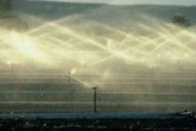 Pooled aquifer resources are often used for crop irrigation, such as this system in Yuma, Arizona. 