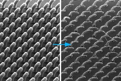 Black and white microscopic images of carbon nanotubes