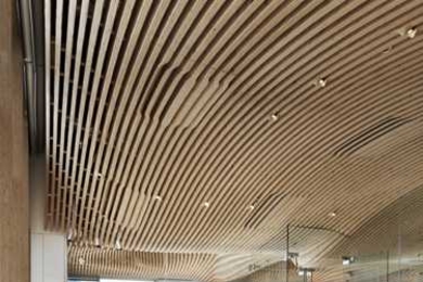 Image of a sun-filled room