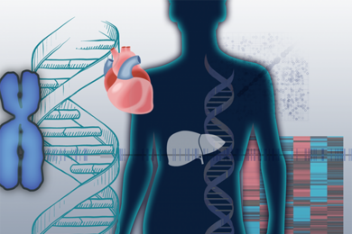 Rendering of human body with DNA and the heart