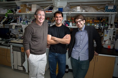 (Left to right) Tyler Jacks, Francisco Sanchez-Rivera, and Thales Papagiannakopoulos.