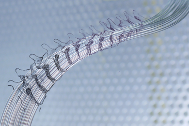 Polymer fibers designed to mimic fibrous geometry of spinal cord nerves