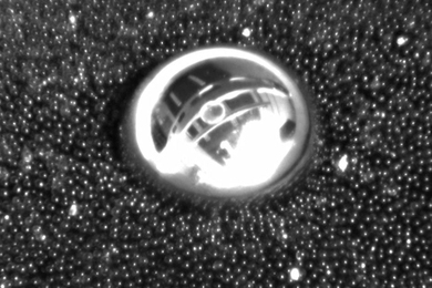 A screenshot of the researcher's quicksand experiment.