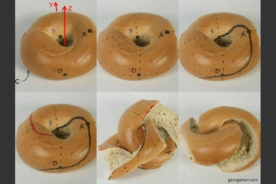 Mobius bagel by George Hart