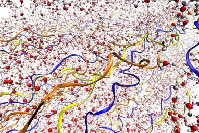 Illustrations depict the collagen fibrils, with their triple-helix structure, surrounded by water molecules. The three different chains of the triple helix are depicted in different colors. Water molecules are shown in red and gray.