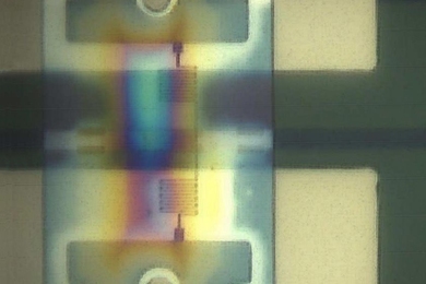 One of the researchers' new photon detectors, deposited athwart a light channel — or "waveguide" (horizontal black band) — on a silicon optical chip.