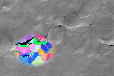 Gray field with a patch of multicolors