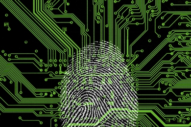 Fingerprint on top of circuit lines