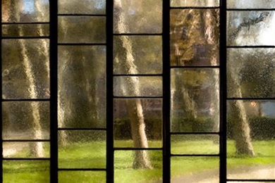 Glass window panels that show trees