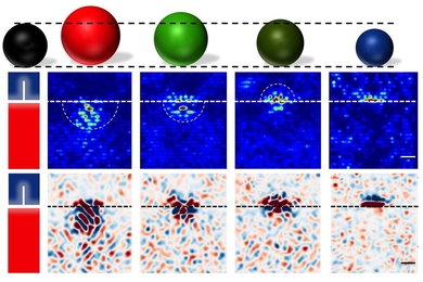 Simulations show the effects of dislocations in cerium dioxide on the redistribution of differently sized dopant atoms, replacing a cerium atom in the crystal lattice. The results reveal different amounts of segregation around the dislocation caused by the differently sized elements. The sizes of the other atoms are compared to a cesium atom (left, in black). The white dashed line shows the plane ...