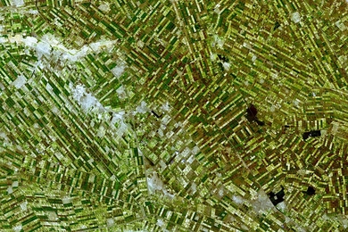 A satellite image shows irrigated fields (green and brown), irrigation canals (gray lines between fields), and villages (grey-white patches) within the Gezira Scheme in Sudan.