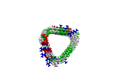 Amyloidal structure created with the Matriarch software.