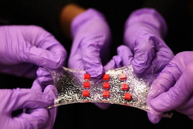 A new stretchy hydrogel can be embedded with various electronics. Here, a sheet of hydrogel is bonded to a matrix of polymer islands (red) that can encapsulate electronic components such as semiconductor chips, LED lights, and temperature sensors.