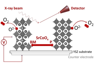 This diagram shows how an electrical voltage can be used to modify the oxygen concentration, and therefore the phase and structure, of strontium cobaltites. Pumping oxygen in and out transforms the material from the brownmillerite form (left) to the perovskite form (right).