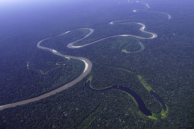 Manu National Park, a large (15,328-square-kilometer) protected area in southeastern Peru, includes several ecological zones and spans an elevation range of 150-4,200 meters above sea level. Manu’s vast tracks of Amazonian rainforest are part of the global tropical forest carbon sink that is slowing the rate of increase in atmospheric carbon dioxide, a primary driver of climate change.