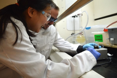 Department of Civil and Environmental Engineering graduate student Anthony Carrasquillo (right) and freshman Judy Wang collected lignin from the coast, then experimented in the lab to see if light accelerates its degradation.