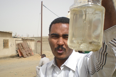 Graduate student Osama Mekhi Seidahmed in the Eltahir Research Group holds up larvae of the Dengue-carrying mosquito collected in a water bottle. Environmental management techniques used for related viruses like Dengue and malaria can inform approaches to the recent Zika outbreak. 