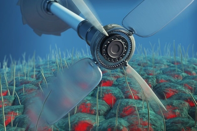 Any system in thermodynamic equilibrium is known to satisfy perfectly balanced forward and backward transitions between any two states. It is therefore impossible, for instance, to drive a windmill to do work by using only thermal fluctuations. The new research shows how living systems violate this principle. Thus, even stochastic fluctuations in such living systems could be used to drive such a s...