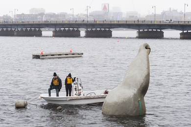 Deploying the Buoy Stone in front of the Massachusetts Avenue Bridge